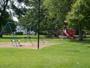 Dodge park swings