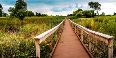 Marsh Bridge