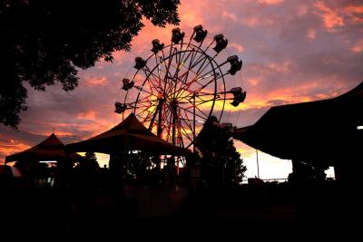 Carnival Ferris wheel at night